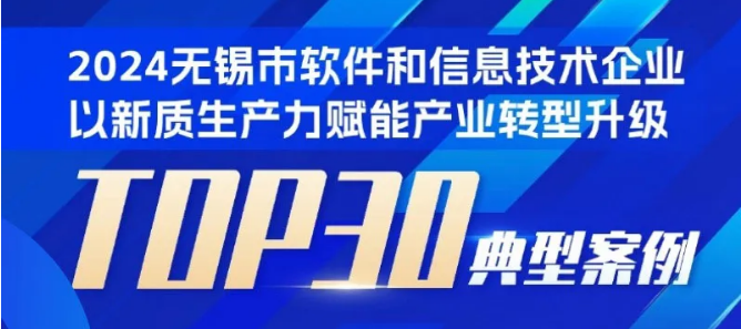 《2024无锡市软件和信息技术企业以新质生产力赋能产业转型升级TOP30典型案例》
